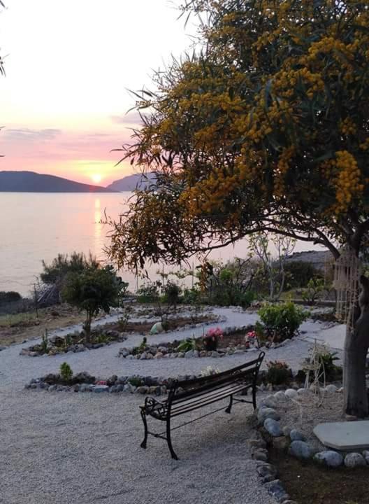 Sylvia'S Houses Skalia Bagian luar foto